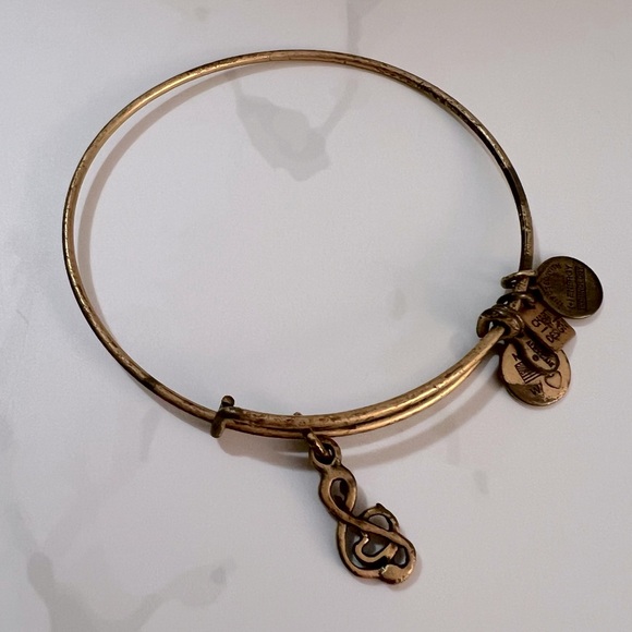 Alex and Ani Charm Bracelets - Picture 4 of 6